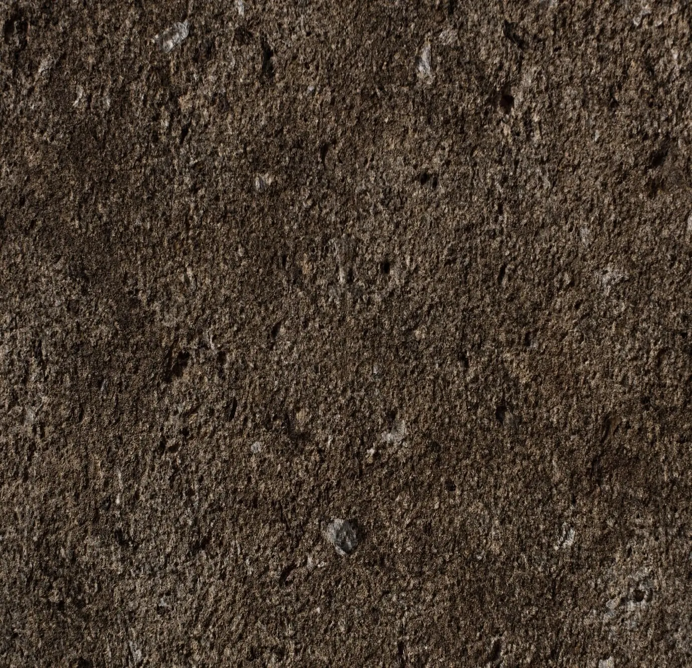 Please provide the original description to rephrase.